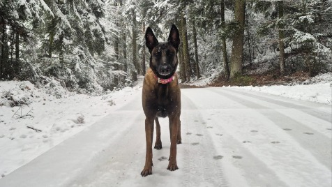 Zdjęcie aktualizacji 176 922