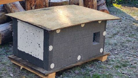 Zdjęcie aktualizacji 176 931