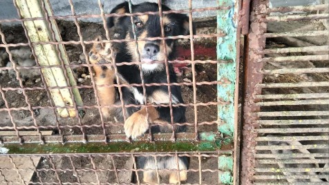 Zdjęcie aktualizacji 176 982