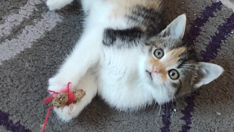 Zdjęcie aktualizacji 176 985