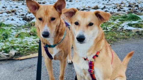 Zdjęcie aktualizacji 177 028