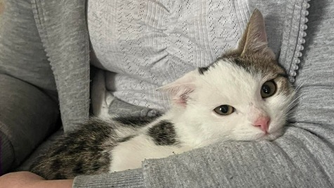 Zdjęcie aktualizacji 177 094