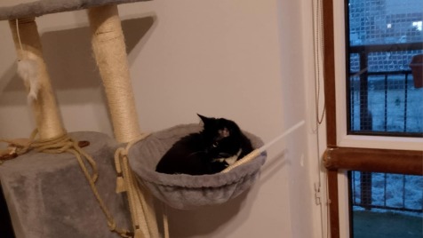 Zdjęcie aktualizacji 177 112