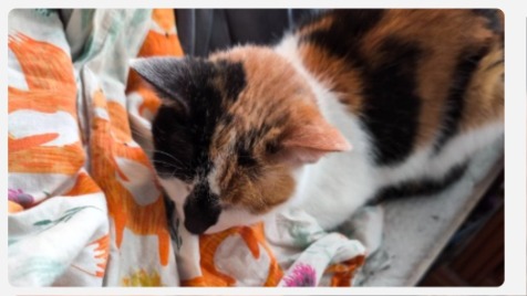 Zdjęcie aktualizacji 177 184