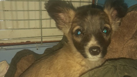 Zdjęcie aktualizacji 177 191