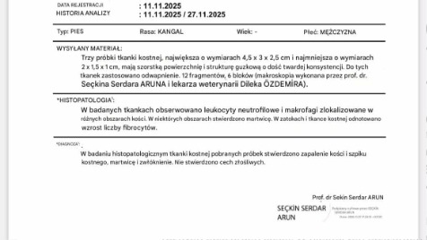 Zdjęcie aktualizacji 177 343