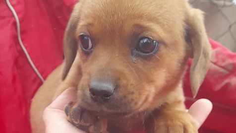 Zdjęcie aktualizacji 177 543