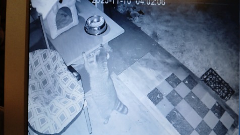 Zdjęcie aktualizacji 177 554