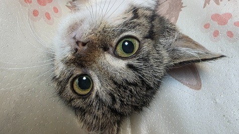 Zdjęcie aktualizacji 177 587