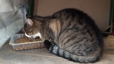 Zdjęcie aktualizacji 177 663