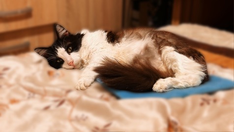 Zdjęcie aktualizacji 177 732