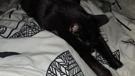 Zdjęcie aktualizacji 177 735