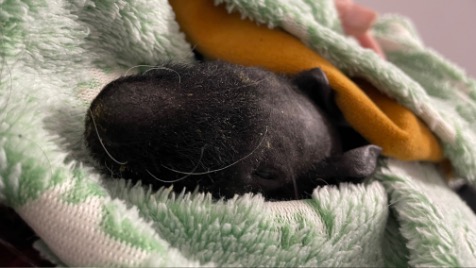 Zdjęcie aktualizacji 177 750