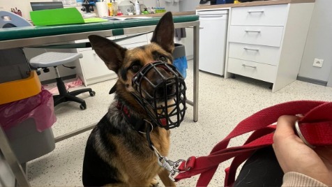 Zdjęcie aktualizacji 177 764