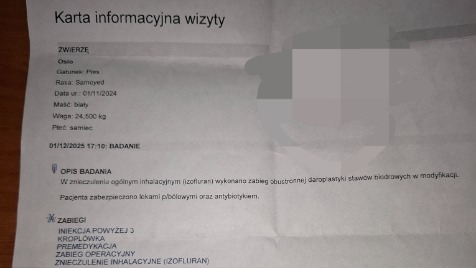 Zdjęcie aktualizacji 177 788