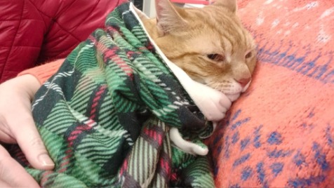 Zdjęcie aktualizacji 177 852