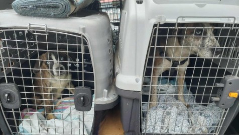 Zdjęcie aktualizacji 177 861