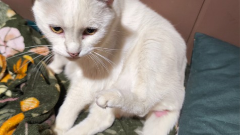 Zdjęcie aktualizacji 177 872