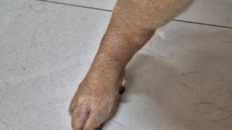 Zdjęcie aktualizacji 177 880