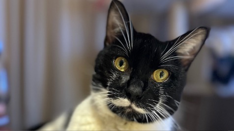 Zdjęcie aktualizacji 177 925