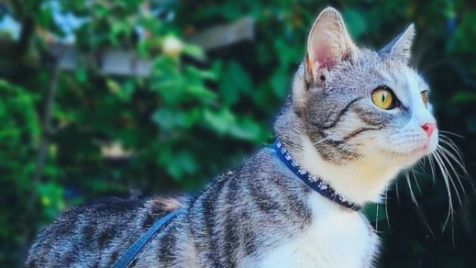 Zdjęcie aktualizacji 177 941