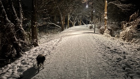 Zdjęcie aktualizacji 177 988