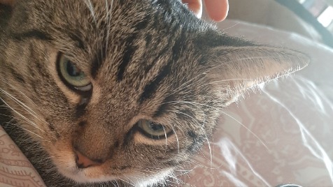 Zdjęcie aktualizacji 178 017