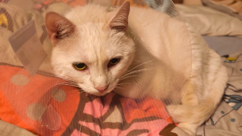 Zdjęcie aktualizacji 178 054