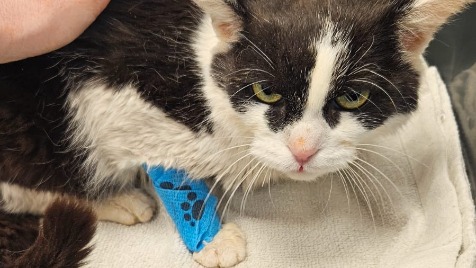 Zdjęcie aktualizacji 178 057