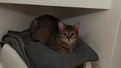 Zdjęcie aktualizacji 178 071