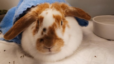 Zdjęcie aktualizacji 178 072