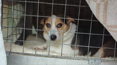 Zdjęcie aktualizacji 178 100