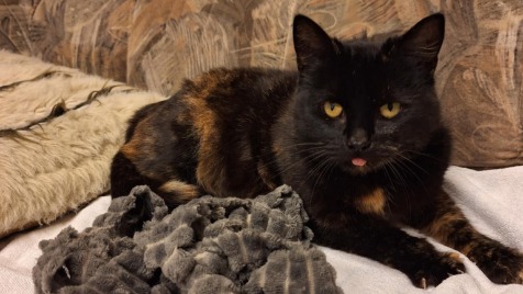 Zdjęcie aktualizacji 178 134