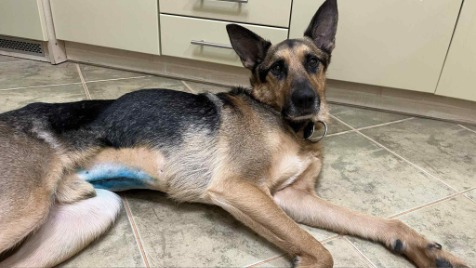 Zdjęcie aktualizacji 178 182