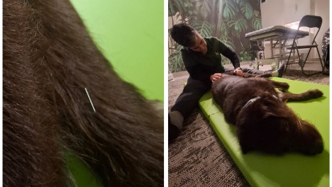 Zdjęcie aktualizacji 178 305