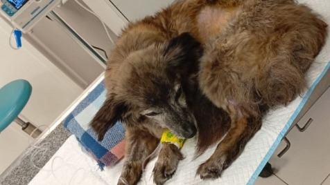 Zdjęcie aktualizacji 178 319