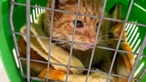 Zdjęcie aktualizacji 178 320