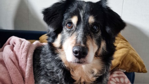 Zdjęcie aktualizacji 178 474