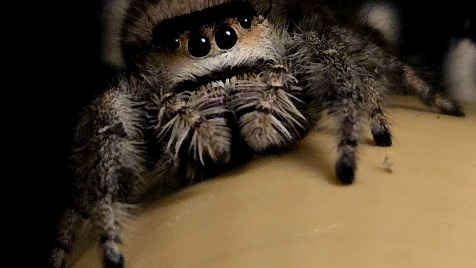 Zdjęcie aktualizacji 178 477