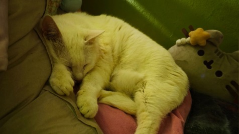 Zdjęcie aktualizacji 178 488