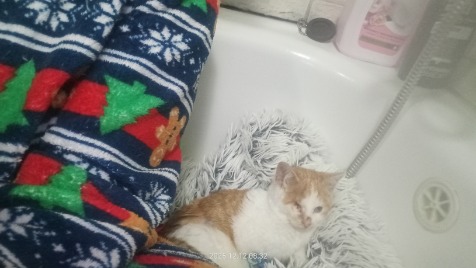 Zdjęcie aktualizacji 178 503