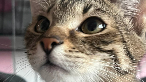 Zdjęcie aktualizacji 178 521