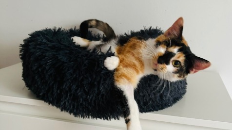 Zdjęcie aktualizacji 178 533