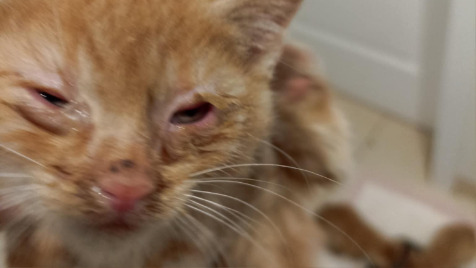 Zdjęcie aktualizacji 178 580