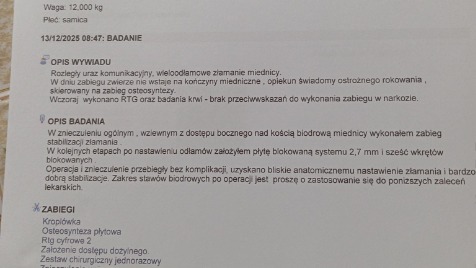 Zdjęcie aktualizacji 178 696