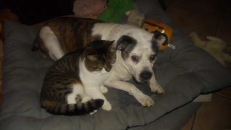 Zdjęcie aktualizacji 178 755