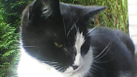 Zdjęcie aktualizacji 178 984