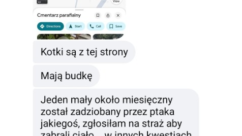 Zdjęcie aktualizacji 179 108