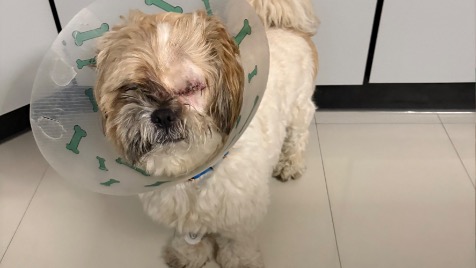 Zdjęcie aktualizacji 179 210