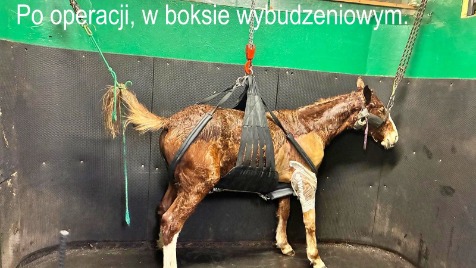 Zdjęcie aktualizacji 179 308